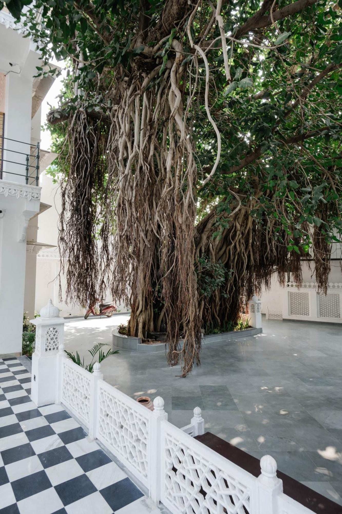 The Experience Resort-Lake Facing Udaipur Exterior photo